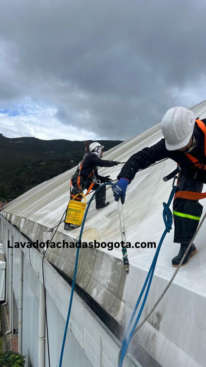 Lavado de carpas bogota